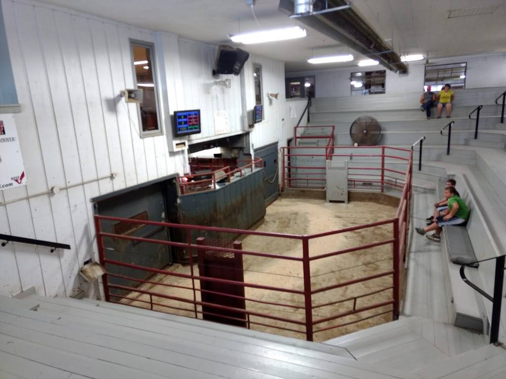 Kalona Sales Barn Lunchroom | restaurant | 121 9th St, Kalona, IA 52247, USA | 3196562222 OR +1 319-656-2222