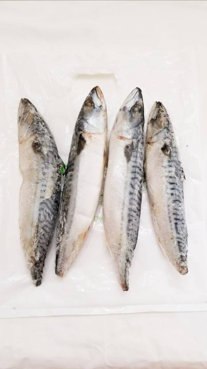 Food2Door | restaurant | 3214 Belt Line Rd #422, Farmers Branch, TX 75234, USA | 9725216060 OR +1 972-521-6060