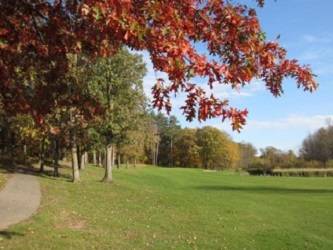 Vintage Golf Course | restaurant | 27923 McGivern Dr, Staples, MN 56479, USA | 2188949907 OR +1 218-894-9907