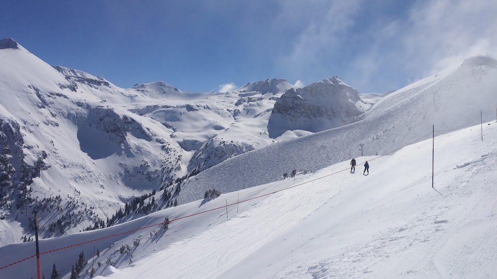 Alpino Vino | restaurant | 12100 Camels Garden Rd, Colorado 81320, USA | 9707287560 OR +1 970-728-7560