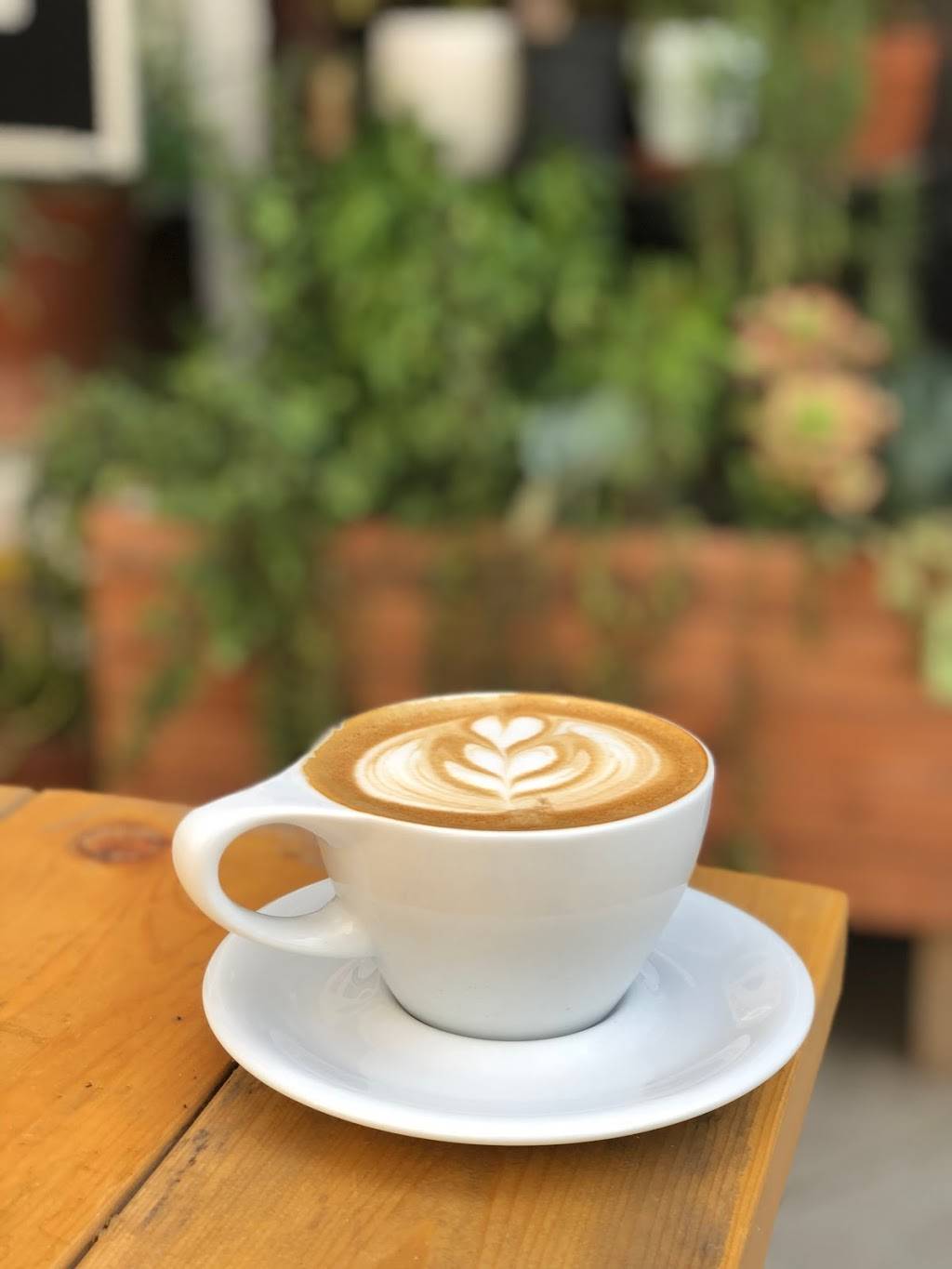 Cactus Coffee | meal takeaway | 2232 D St #102, La Verne, CA 91750, USA | 9092938481 OR +1 909-293-8481