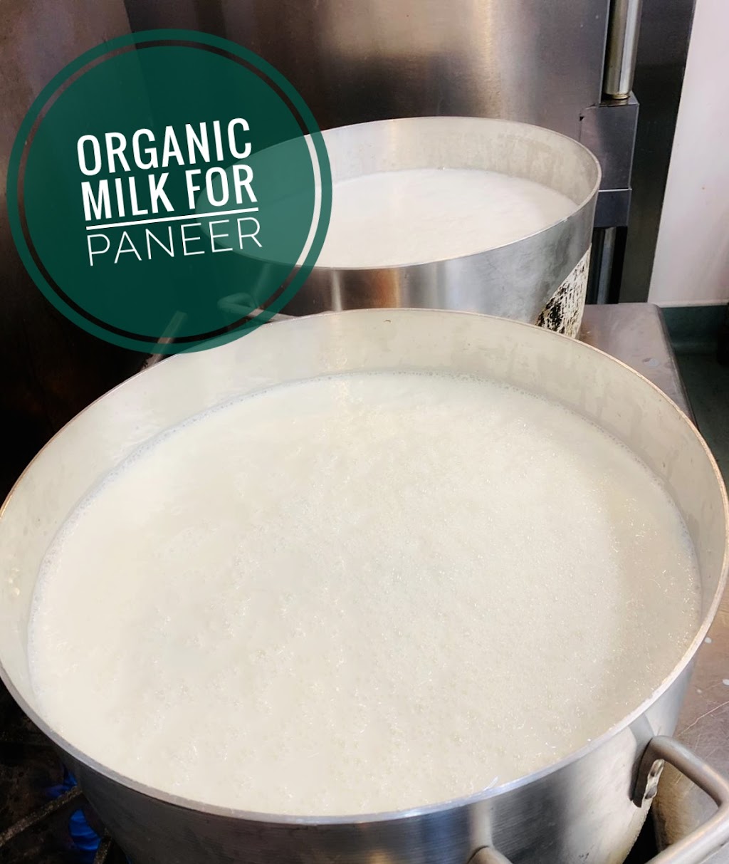 Carry the curry | restaurant | 49103 Milmont Dr, Fremont, CA 94538, USA | 4087592649 OR +1 408-759-2649