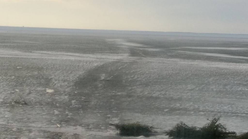 Fishtail Inn Bar & Grill | restaurant | W5636 Co Rd EE, Hilbert, WI 54129, USA | 9204391565 OR +1 920-439-1565