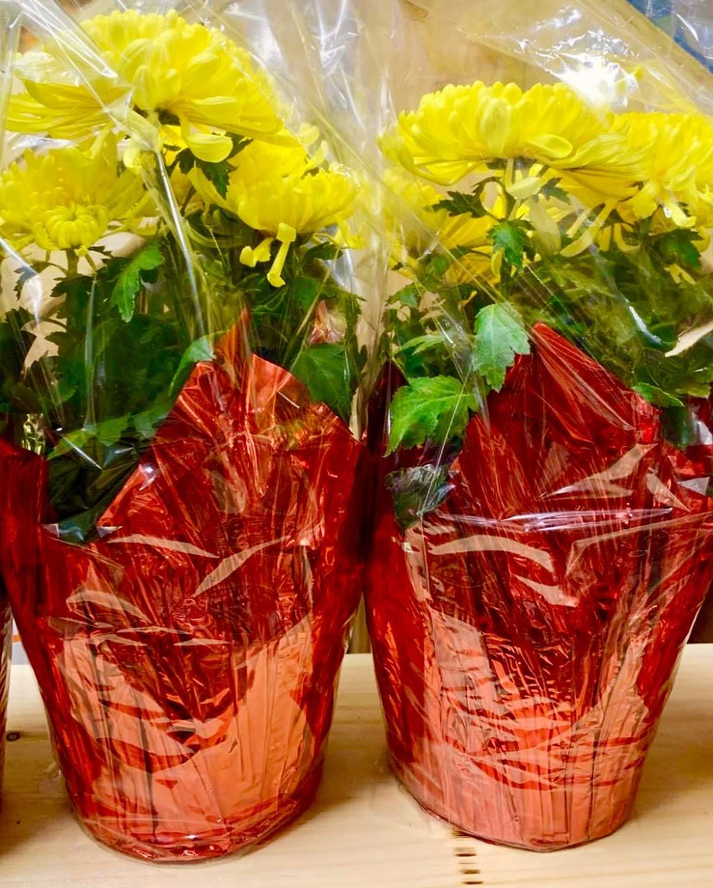 Asian Mart (Fresh vegetables, Japanese, Korean, Indian, Thai, Vi | restaurant | 60D Pearl St, Essex Junction, VT 05452, USA | 8028788802 OR +1 802-878-8802