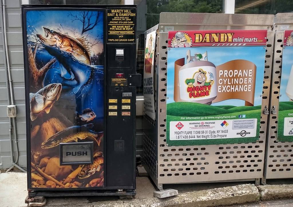 Dandy Mini Mart | meal takeaway | 1017 Main St, Le Raysville, PA 18829, USA | 5707442032 OR +1 570-744-2032