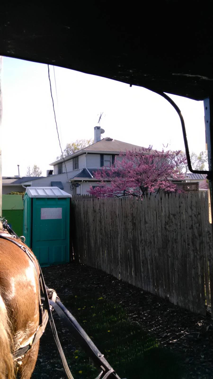 Koenigs Korner | restaurant | 1000250000, West Salem, OH 44287, USA | 4198463301 OR +1 419-846-3301