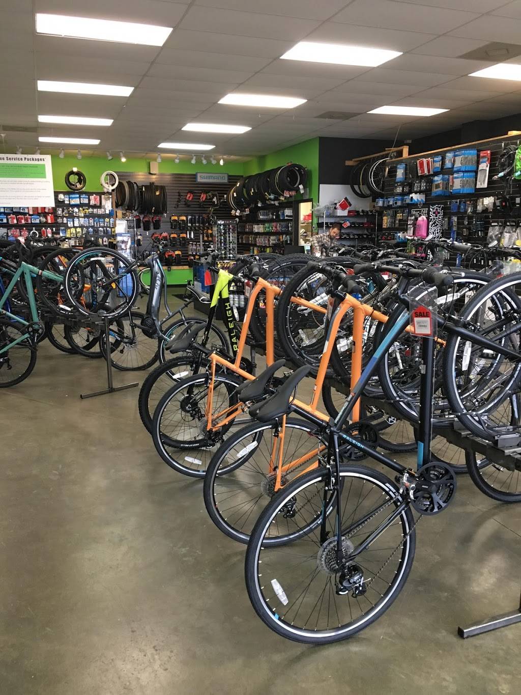 Freehub Bicycles | cafe | 1616 Woodruff Rd, Greenville, SC 29607, USA | 8642840040 OR +1 864-284-0040