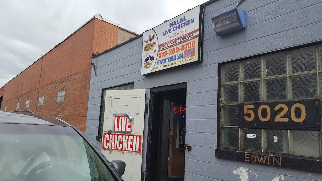 Halal Live Chicken LLC | restaurant | 5020 Edwin St, Hamtramck, MI 48212, USA | 3132858706 OR +1 313-285-8706