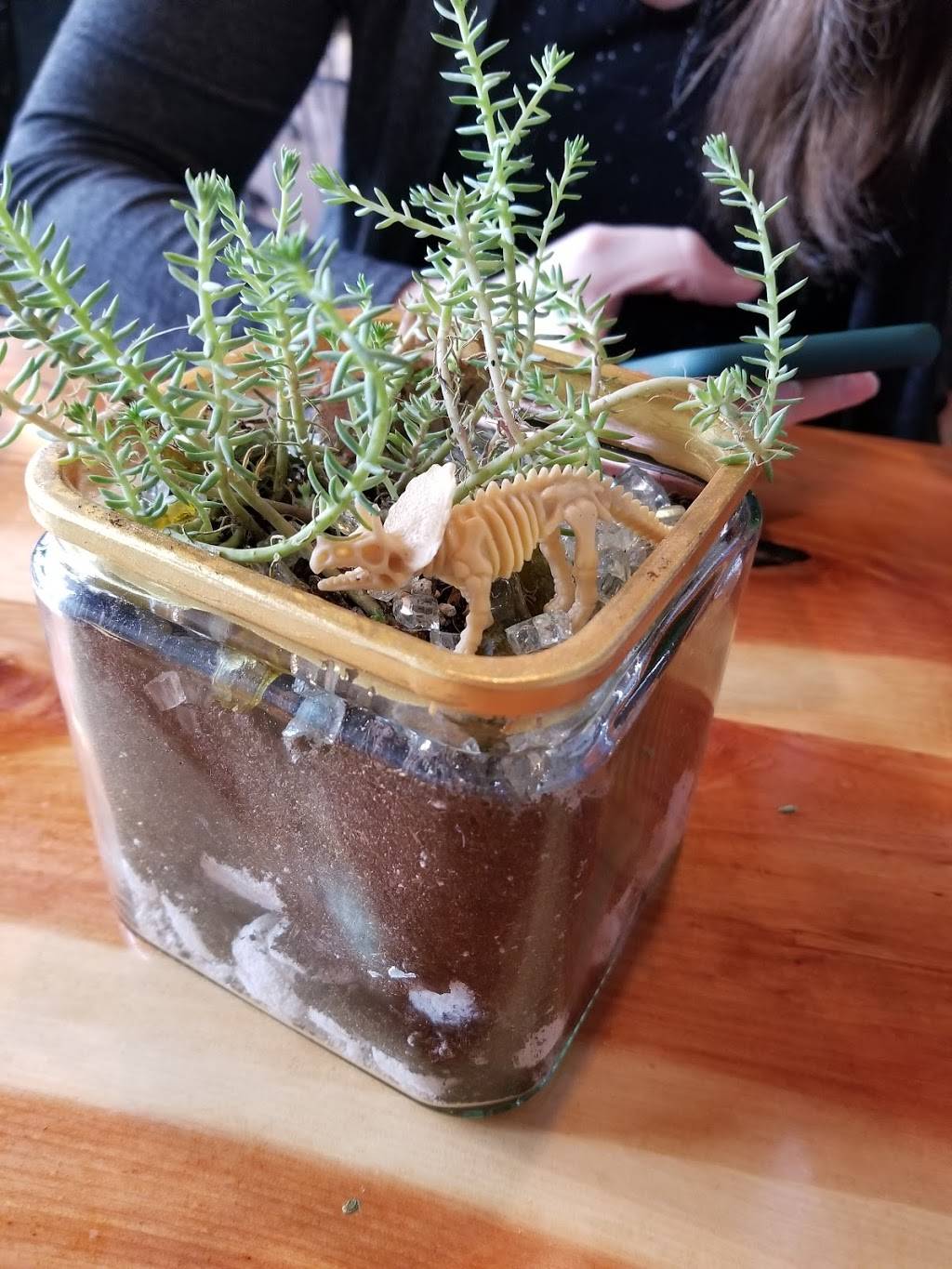 Jurassic | restaurant | 6036 SE Division St, Portland, OR 97206, USA | 9718655996 OR +1 971-865-5996