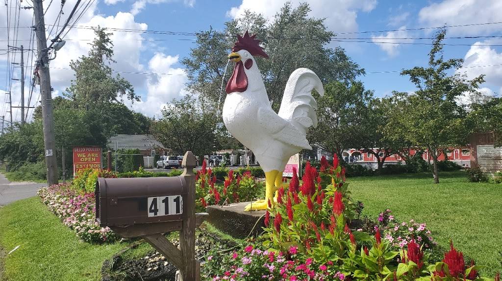 Bello poultry farm | restaurant | 411 Union Ave, Holbrook, NY 11741, USA | 6314673244 OR +1 631-467-3244