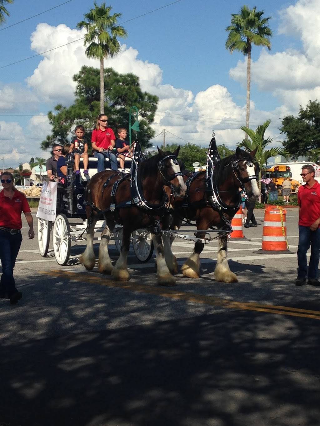 Starbucks | cafe | 4802 Chester St, Cape Coral, FL 33904, USA | 2399453893 OR +1 239-945-3893