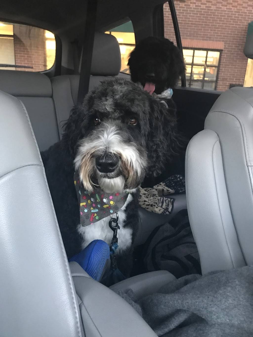 Chick-fil-A Deerfield | restaurant | 75 S Waukegan Rd, Deerfield, IL 60015, USA | 8472728470 OR +1 847-272-8470