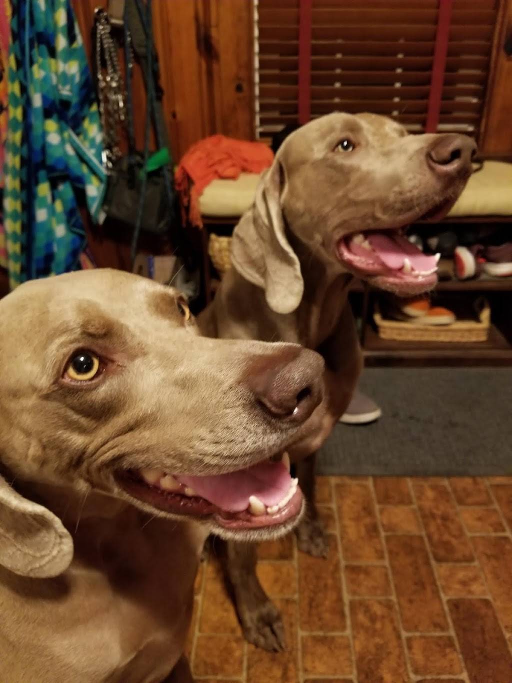 Papa Ginos | restaurant | 674 Bedford St, Whitman, MA 02382, USA | 7814470052 OR +1 781-447-0052