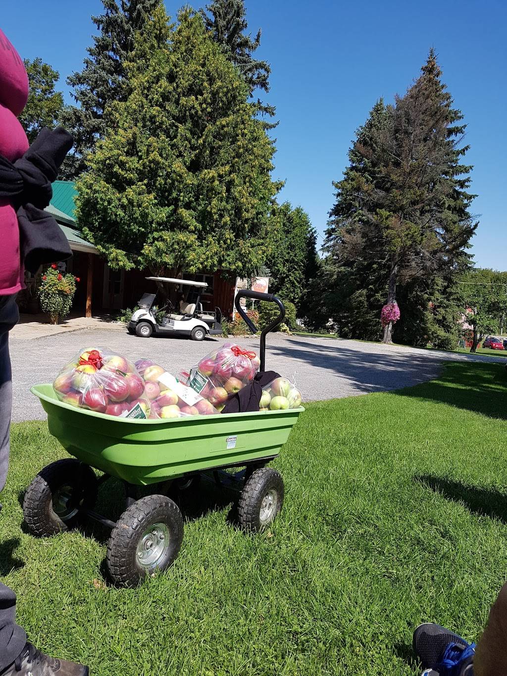 Vergers Cassidy | restaurant | ,JOS-1EO, 2910 QC-202, Franklin, QC J0S 1E0, Canada | 4508272000 OR +1 450-827-2000