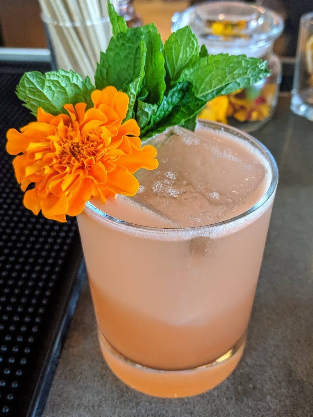 Vecina | restaurant | 3433 N 56th St, Phoenix, AZ 85018, USA | 6026752000 OR +1 602-675-2000