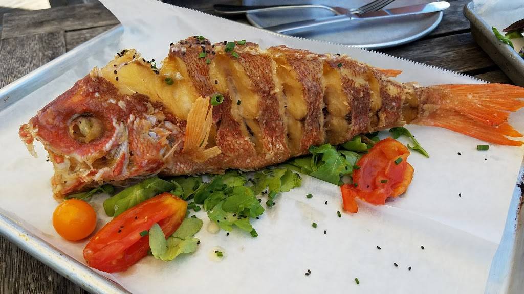 The Wyld | restaurant | 2740 Livingston Ave, Savannah, GA 31406, USA | 9126921219 OR +1 912-692-1219