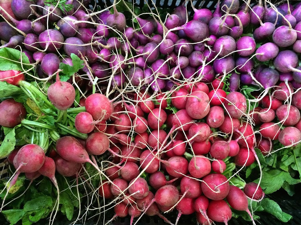 The Boarding House | restaurant | 12 Federal St, Nantucket, MA 02554, USA | 5082289622 OR +1 508-228-9622