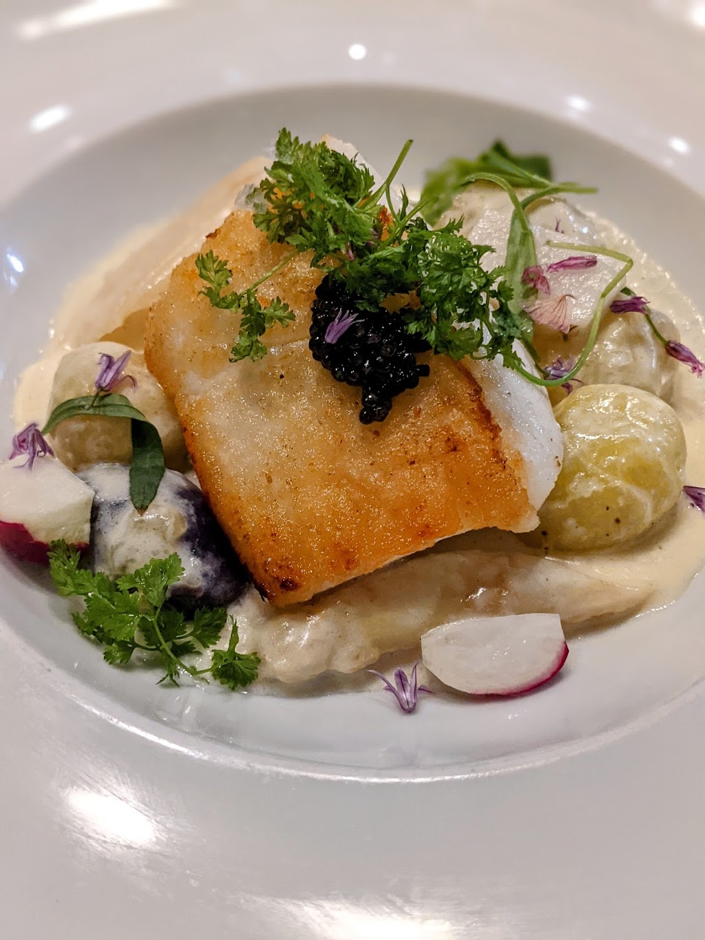 B&G Oysters | restaurant | 550 Tremont St, Boston, MA 02116, USA | 6174230550 OR +1 617-423-0550