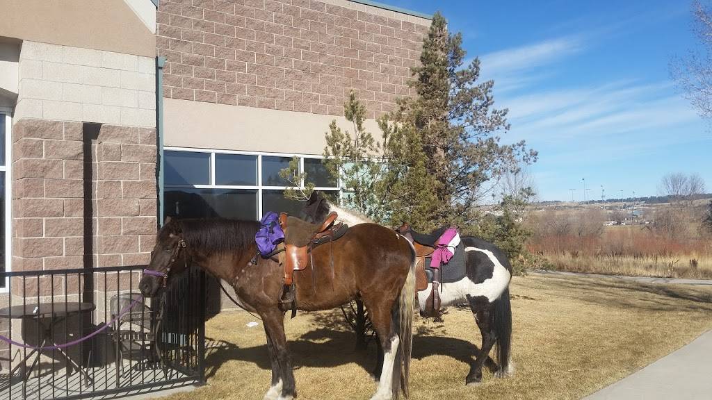 Noodles and Company | restaurant | 17051 Lincoln Ave, Parker, CO 80134, USA | 7208425117 OR +1 720-842-5117