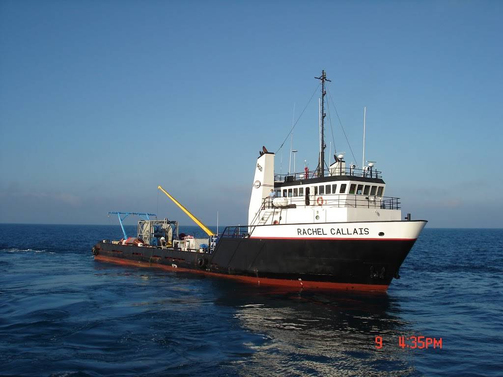 DAS Ocean | restaurant | 8500 Cypresswood Dr, Houston, TX 77070, USA | 7132545770 OR +1 713-254-5770