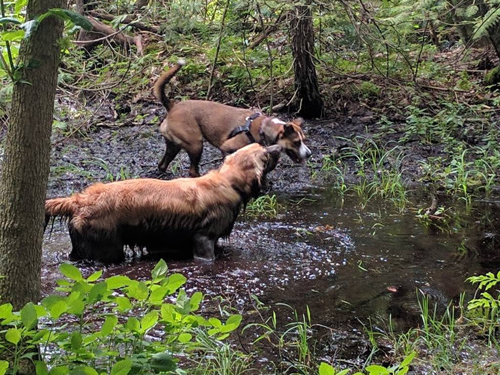 Foxbridge Golf Course | restaurant | 350 Reach St, Uxbridge, ON L9P 1R4, Canada | 9058527962 OR +1 905-852-7962