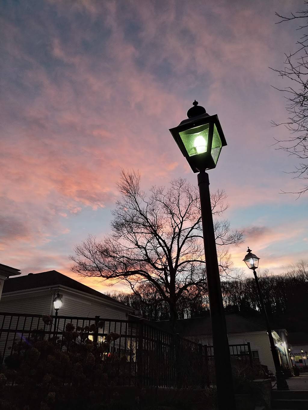 Wilton Pizza | restaurant | 202 Town Grn, Wilton, CT 06897, USA | 2037620007 OR +1 203-762-0007