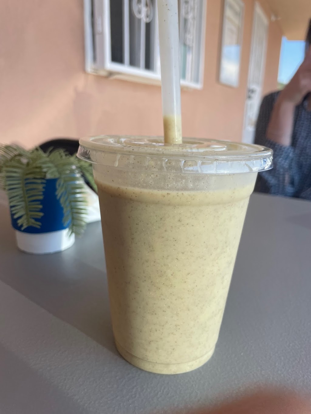 BLUE ZONE by Body Basics Healing Center | restaurant | 18635 US-84 #285, Española, NM 87532, USA | 5057536755 OR +1 505-753-6755