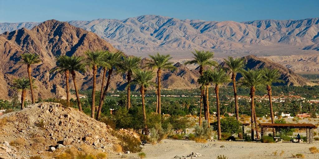 TRYPPS Demo Restaurant | restaurant | 290 W Vía Olivera, Palm Springs, CA 92262, USA | 9499032133 OR +1 949-903-2133