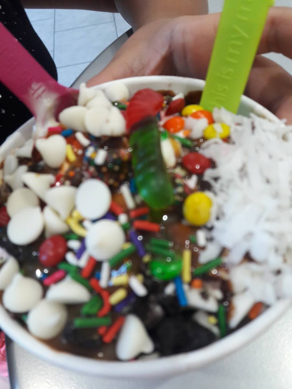 Menchies Frozen Yogurt | bakery | 3267 Hodges Blvd Ste 2, Jacksonville, FL 32224, USA | 9042328234 OR +1 904-232-8234