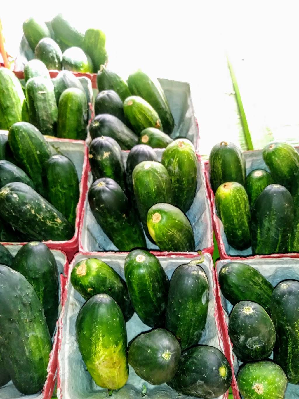 Leroys Southern Kitchen & Bar | restaurant | 201 W Marion Ave, Punta Gorda, FL 33950, USA | 9415052489 OR +1 941-505-2489