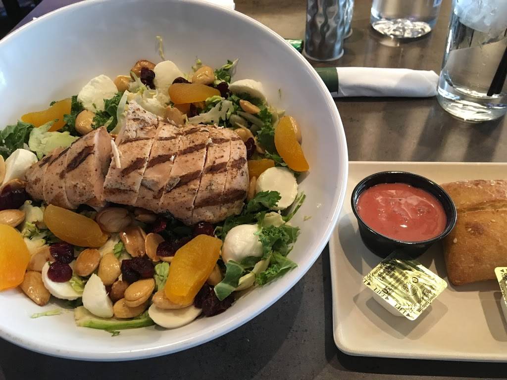 Andiamo | restaurant | Detroit Metropolitan Wayne County Airport (DTW), Worldgateway Pl, Detroit, MI 48242, USA | 7349419330 OR +1 734-941-9330