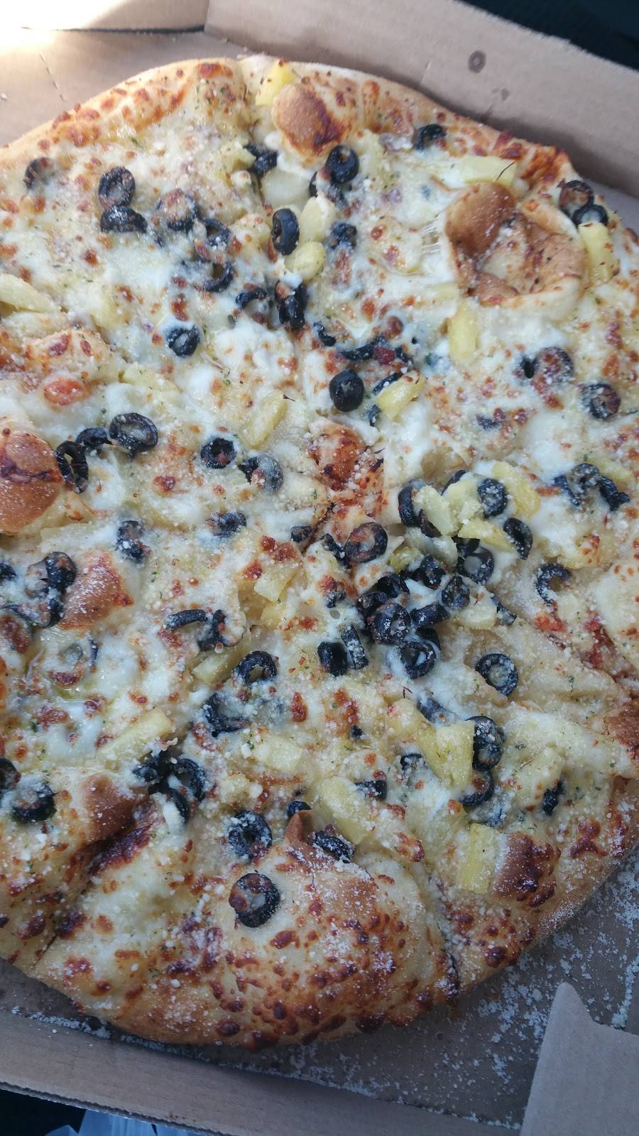 Dominos Pizza | meal delivery | 10402 S Harlem Ave, Palos Hills, IL 60465, USA | 7082330700 OR +1 708-233-0700