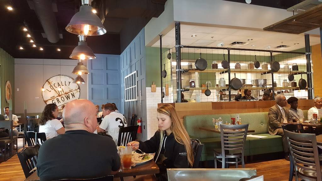 First Watch - Palm Beach | restaurant | 1703 #B05 Palm Beach Lakes Blvd., West Palm Beach, FL 33401, USA | 5616400884 OR +1 561-640-0884