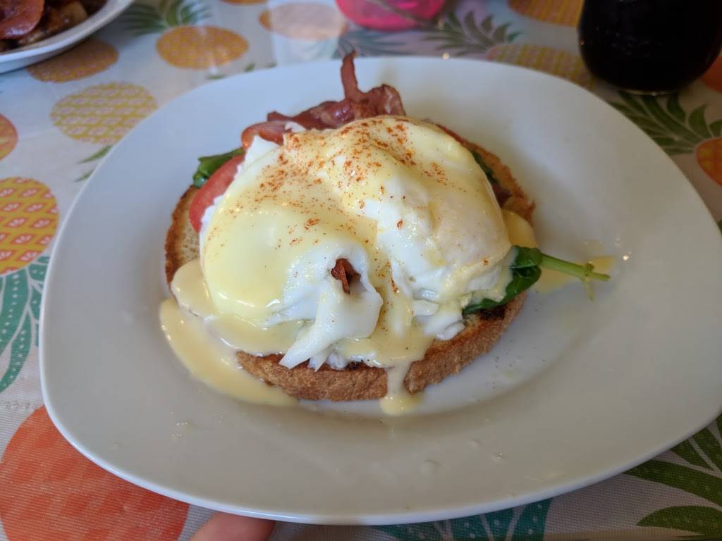 Daydreamers Cafe and Grill | restaurant | 143 7th Ave N, Safety Harbor, FL 34695, USA | 7277230909 OR +1 727-723-0909