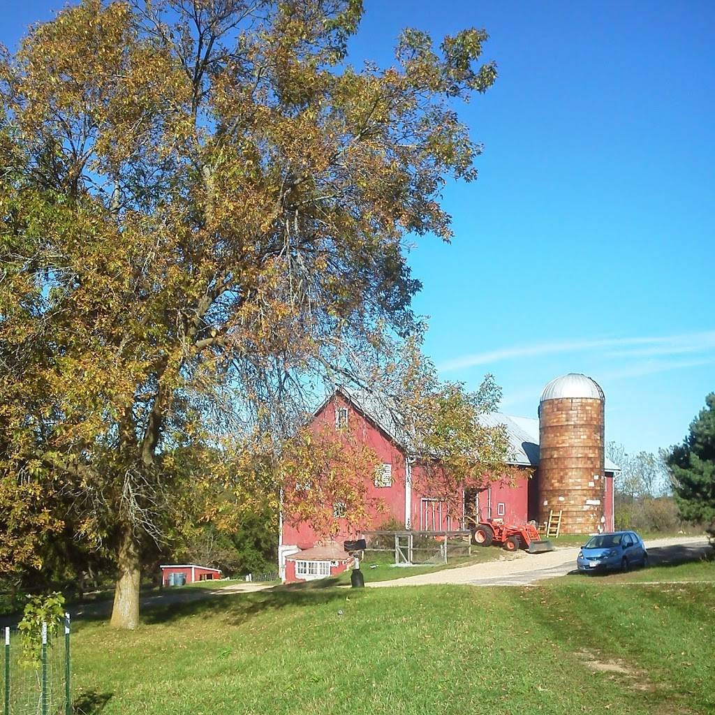 Campo di Bella | restaurant | 10229 Sharp Rd, Mt Horeb, WI 53572, USA | 6083209287 OR +1 608-320-9287