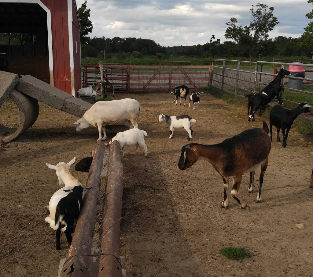 Westview Farms Creamery | restaurant | 111 E Hill Rd, Monson, MA 01057, USA | 4132675355 OR +1 413-267-5355