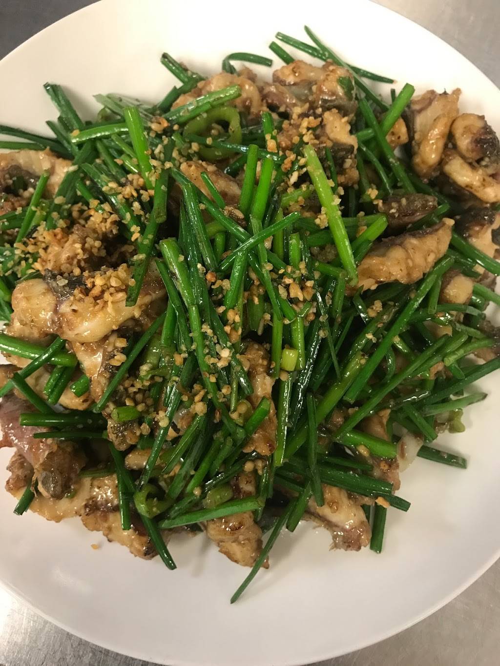 East Ocean Seafood Restaurant | restaurant | 25 Billings Rd #21A, Quincy, MA 02171, USA | 6174726868 OR +1 617-472-6868