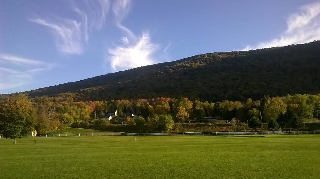 The Meadows Golf Center and All American BBQ | restaurant | 42565 NY-28, Margaretville, NY 12455, USA | 8455864104 OR +1 845-586-4104