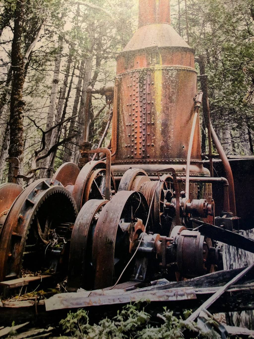 Steam Donkey Restaurant | restaurant | 421 Pine Crest Lake Rd # 3 , Pinecrest, CA 95364, Lake Park S, Pinecrest, CA 95364, USA | 2099653117 OR +1 209-965-3117