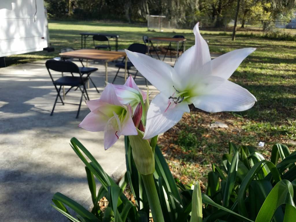 Hungry Howies Pizza | meal delivery | 9945 SE Hwy 42, Summerfield, FL 34491, USA | 3522458252 OR +1 352-245-8252