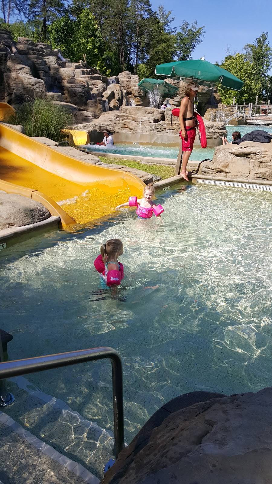 BeaverTails | restaurant | 2700 Dollywood Parks Blvd, Pigeon Forge, TN 37863, USA | 8654289488 OR +1 865-428-9488