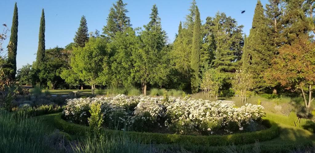 Park Winters | restaurant | 27850 Co Rd 26, Winters, CA 95694, USA | 5306693692 OR +1 530-669-3692