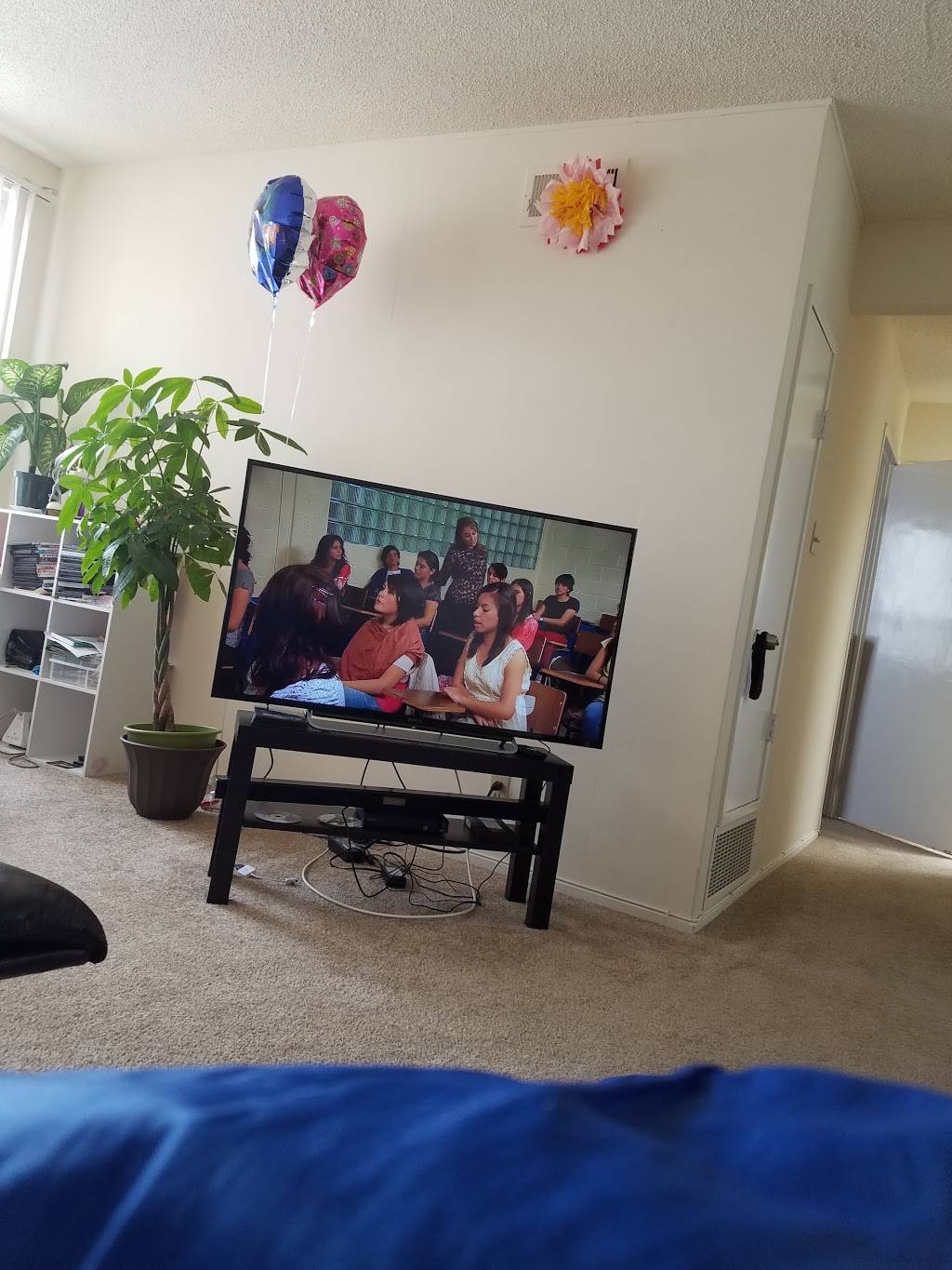 Gee Yin | restaurant | 6288 Mission St, Daly City, CA 94014, USA | 6507565610 OR +1 650-756-5610