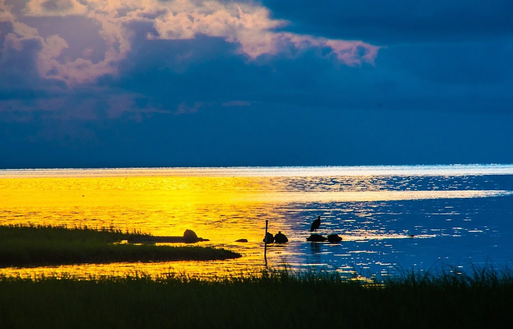 Sandbar & Grille, inc. | restaurant | 49252 North Carolina Hwy 12, Buxton, NC 27920, USA | 2529953413 OR +1 252-995-3413