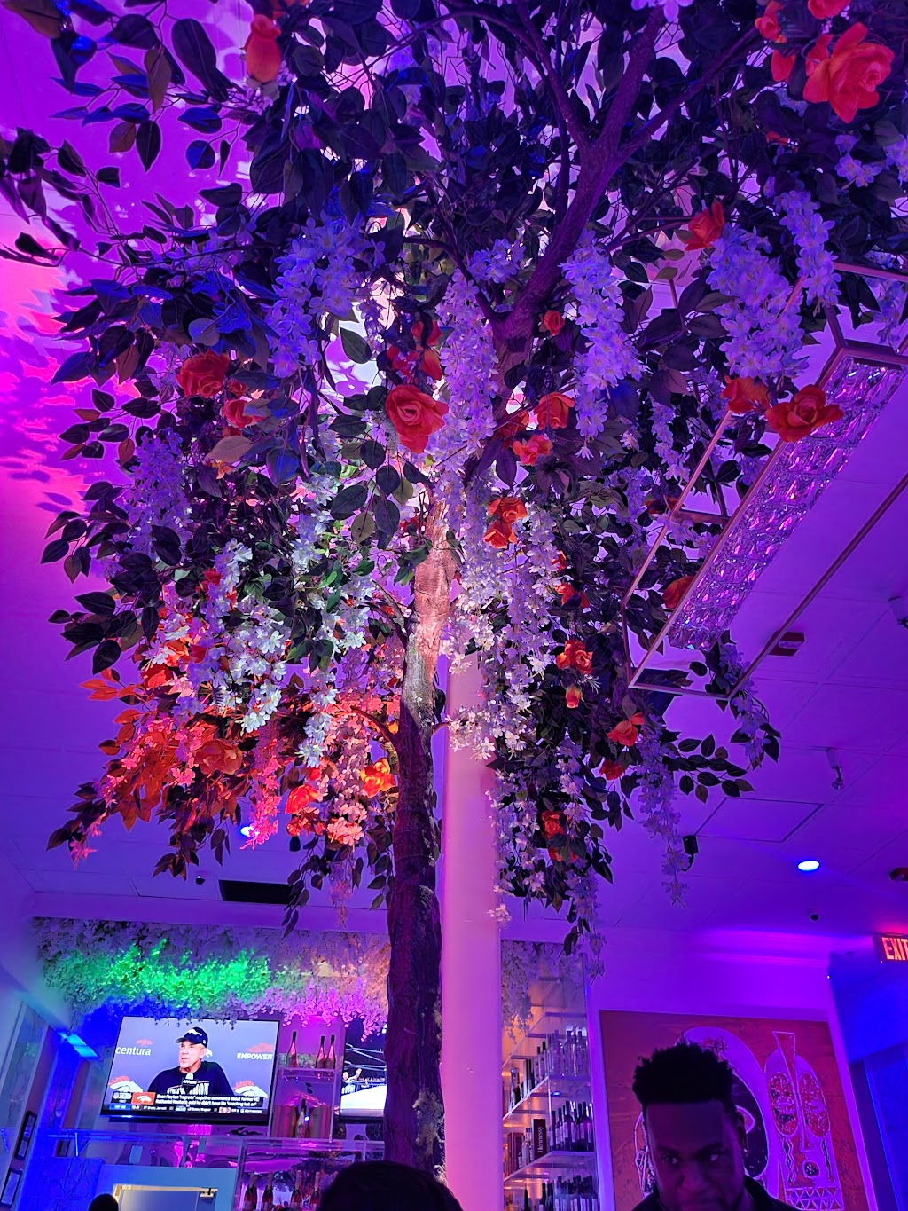 CK & Lounge | night club | 3524 Crain Hwy, Bowie, MD 20716, USA | 2403042454 OR +1 240-304-2454