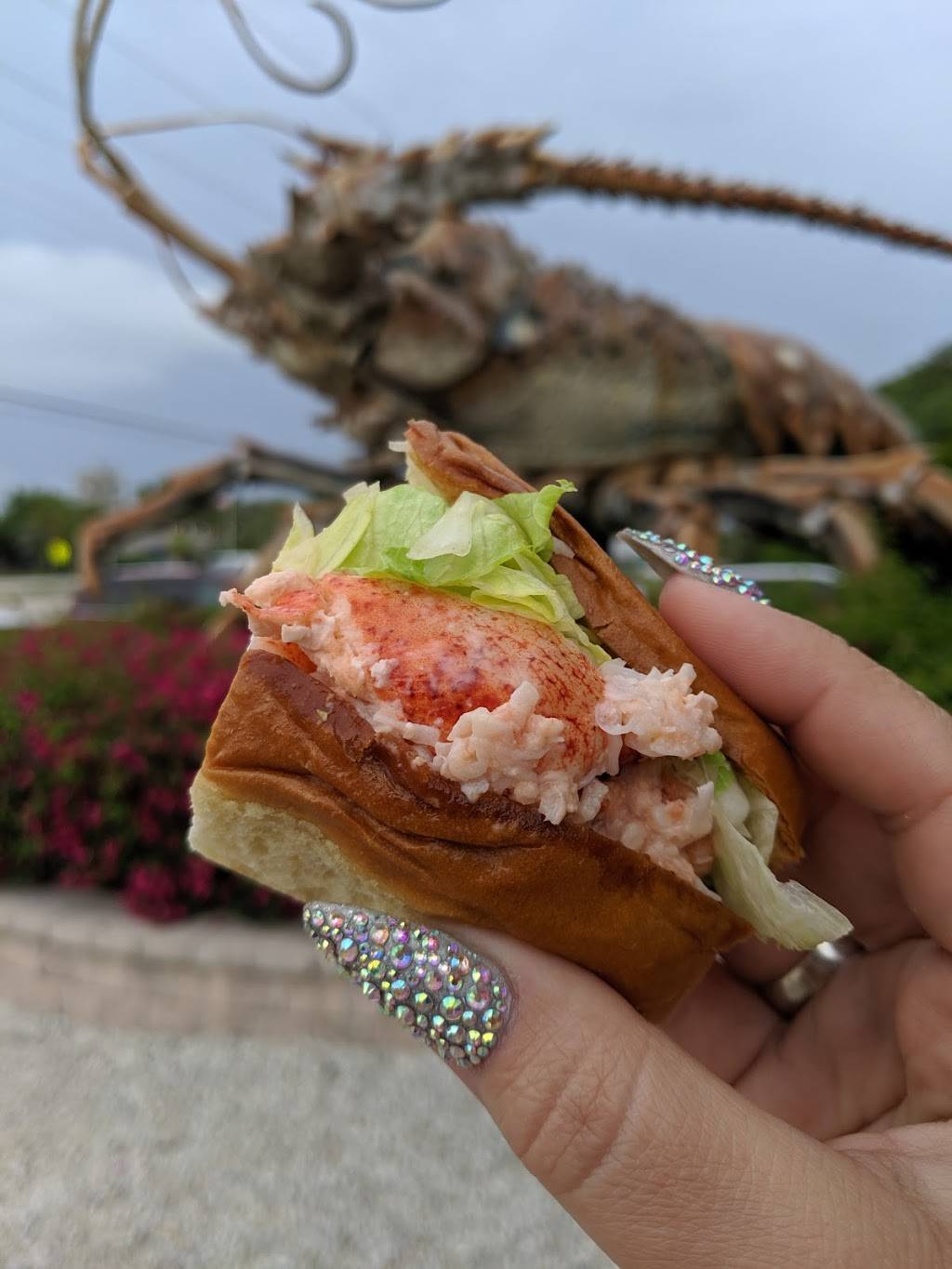 Lobster Shack | restaurant | 86700 Overseas Hwy, Islamorada, FL 33036, USA | 9542600469 OR +1 954-260-0469