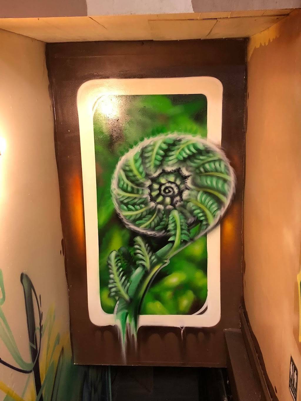 Fiddleheads Cafe | cafe | 533 Farmington Ave, Hartford, CT 06105, USA | 8609372563 OR +1 860-937-2563