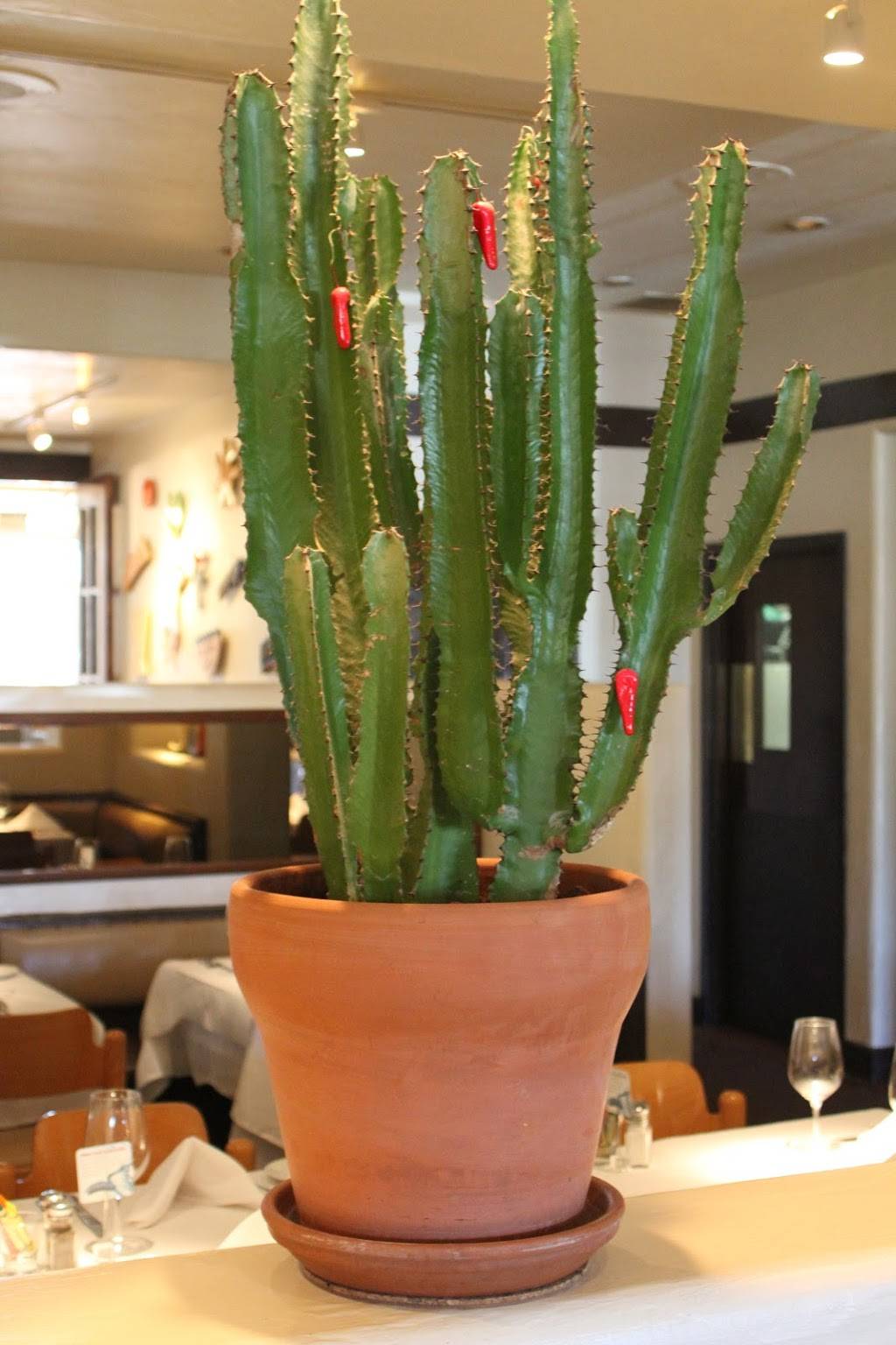 Rio Grill | restaurant | 101 Crossroads Blvd, Carmel-By-The-Sea, CA 93923, USA | 8316255436 OR +1 831-625-5436