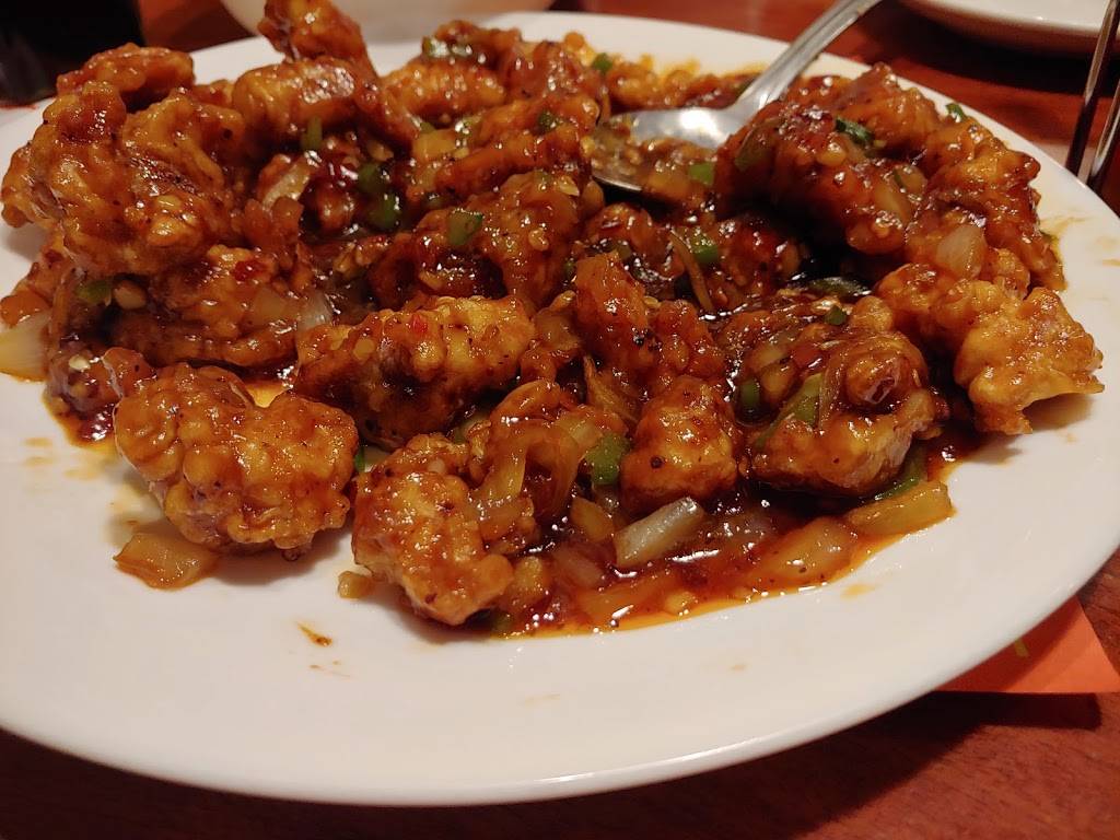 Yummi House Chinese Cuisine | restaurant | 1404 Eubank Blvd NE, Albuquerque, NM 87112, USA | 5052718700 OR +1 505-271-8700