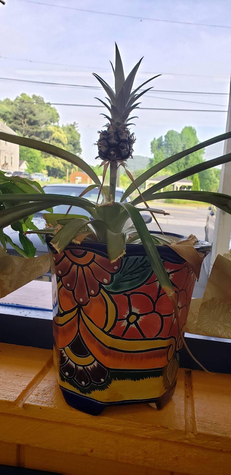 Tacos Rojas | restaurant | 737 13th St SW, Roanoke, VA 24016, USA | 5402667636 OR +1 540-266-7636